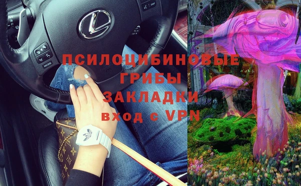 гашик Нязепетровск